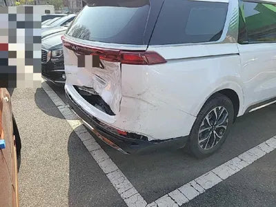 2022 Kia Carnival KNANE81BBNS166263 VIN:KNANE81BBNS166263