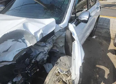 2019 Hyundai Santa FE KMHS581BDKU060270 VIN:KMHS581BDKU060270