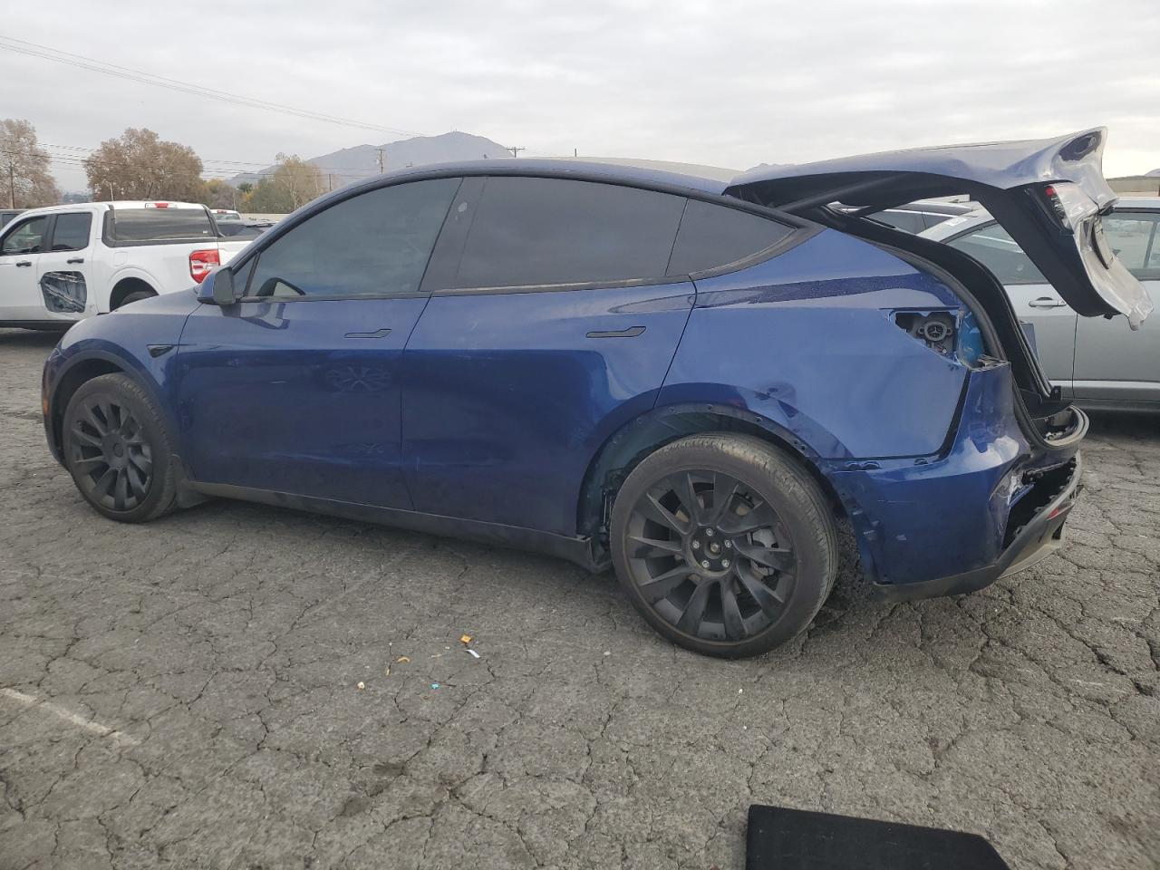 2023 TESLA MODEL Y  VIN:7SAYGDEE6PF875303