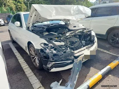 2019 BMW 520 WBAJK7106KBP73839 VIN:WBAJK7106KBP73839