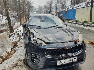 2016 Kia Sportage KNAP6815GGK024990 VIN:KNAP6815GGK024990