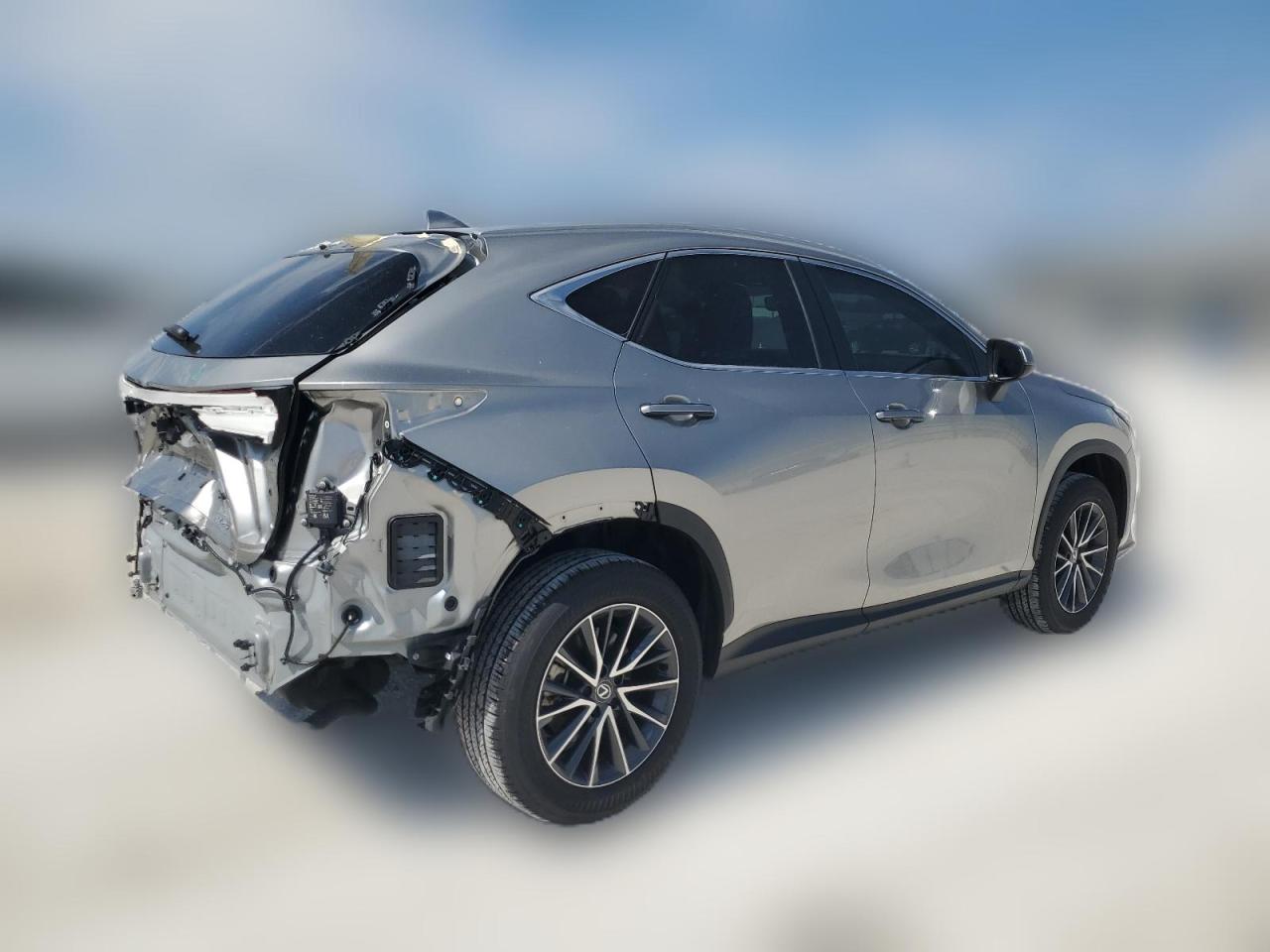 2024 LEXUS NX 250 BASE VIN:2T2ADCAZ5RC009007