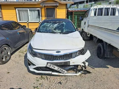 2019 Kia K5 KNAGW416BKA252894 VIN:KNAGW416BKA252894
