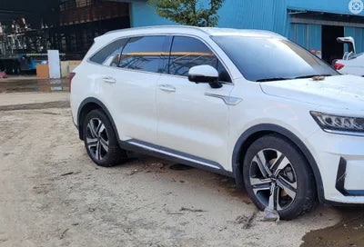 2021 Kia Sorento KNARH81GBMA005423 VIN:KNARH81GBMA005423