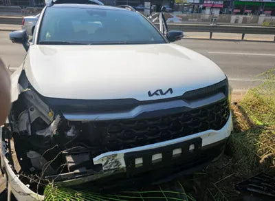2022 Kia Sportage KNAPY81BGNK014266 VIN:KNAPY81BGNK014266