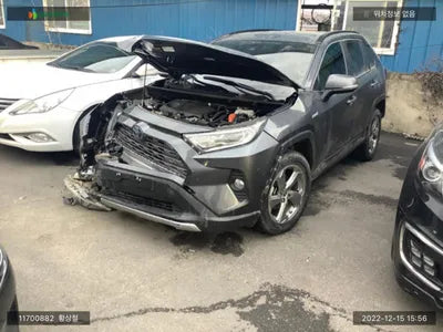 2021 Toyota RAV4 JTMDWRFV1MD113882 VIN:JTMDWRFV1MD113882