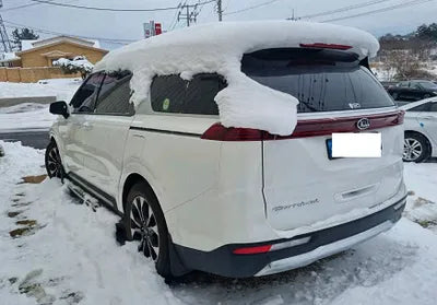 2021 Kia Carnival KNANE81BBMS017834 VIN:KNANE81BBMS017834