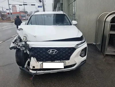 2019 Hyundai Santa FE KMHS281BDKU007298 VIN:KMHS281BDKU007298