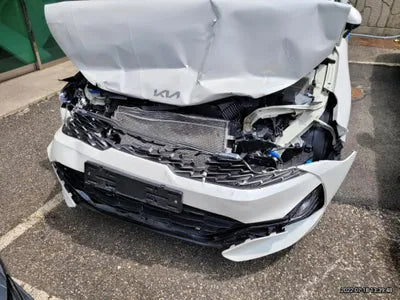 2021 Kia K5 KNAG241BBMA139244 VIN:KNAG241BBMA139244