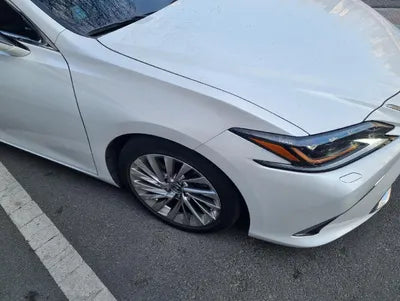 2019 Lexus ES 300 JTHB21B13K2065428 VIN:JTHB21B13K2065428