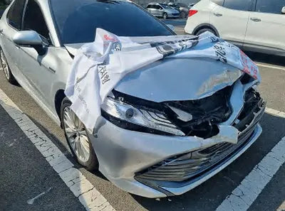 2019 Toyota Camry JTNB21HK8K3022422 VIN:JTNB21HK8K3022422