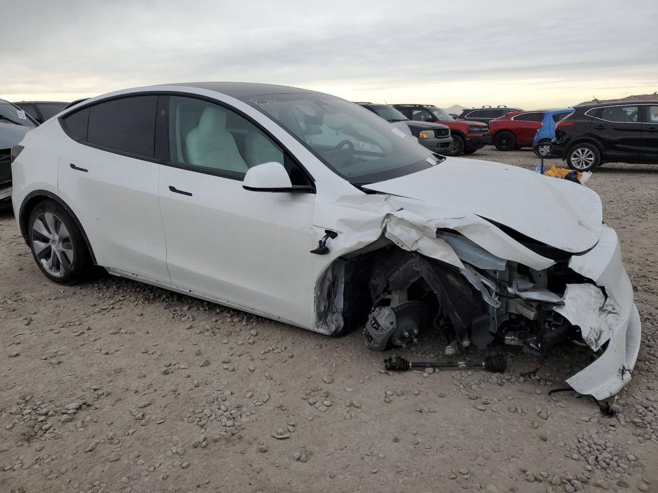 2023 TESLA MODEL Y  VIN:7SAYGAEE5PF824356