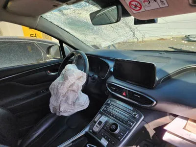 2020 Hyundai Santa FE KMHS381HGMU323976 VIN:KMHS381HGMU323976