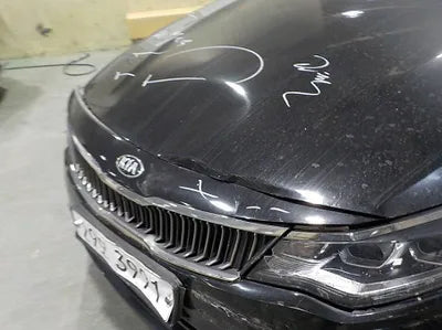 2019 Kia K5 KNAGU411BKA259053 VIN:KNAGU411BKA259053