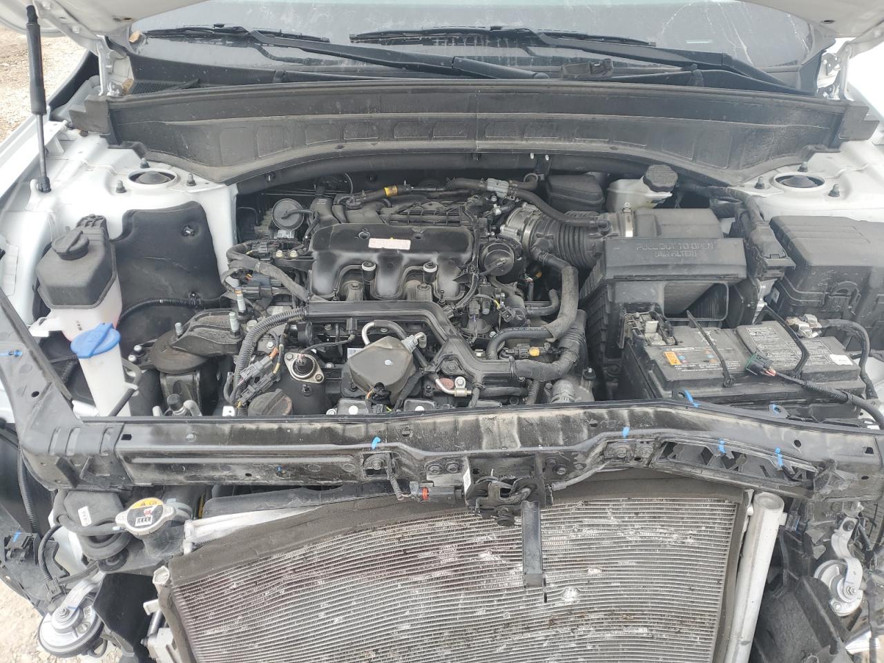 2023 KIA TELLURIDE EX VIN:5XYP3DGCXPG363083