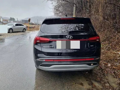 2020 Hyundai Santa FE 1KMHS281BBLU28875 VIN:1KMHS281BBLU28875