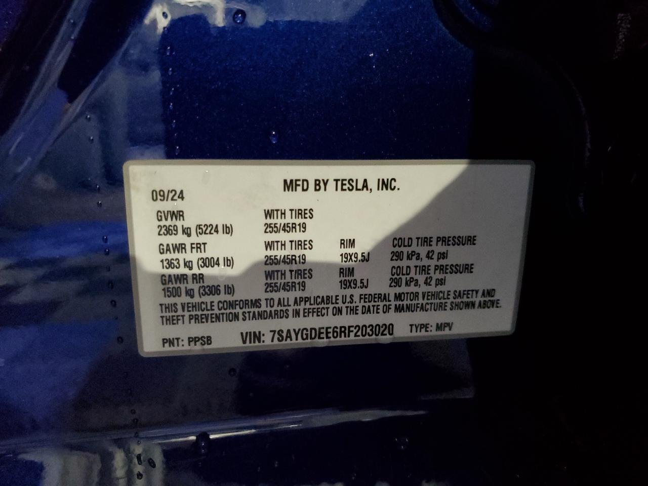 2024 TESLA MODEL Y  VIN:7SAYGDEE6RF203020