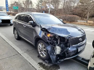 2016 Kia Sorento KNAPH81ABGA158998 VIN:KNAPH81ABGA158998