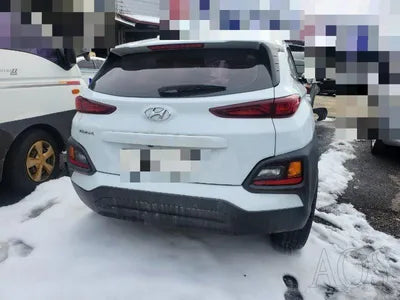 2019 Hyundai Kona VIN: