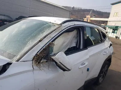 2021 Hyundai Tucson KMHJE811BMU009800 VIN:KMHJE811BMU009800