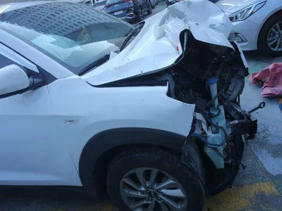 2016 Hyundai Tucson KMHJ281ADGU005363 VIN:KMHJ281ADGU005363