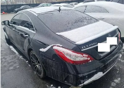 2017 Mercedes-Benz CLS 250 WDDLJ9HB3HA204310 VIN:WDDLJ9HB3HA204310