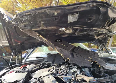 2021 Audi A4 WAUZZZF42MN001071 VIN:WAUZZZF42MN001071