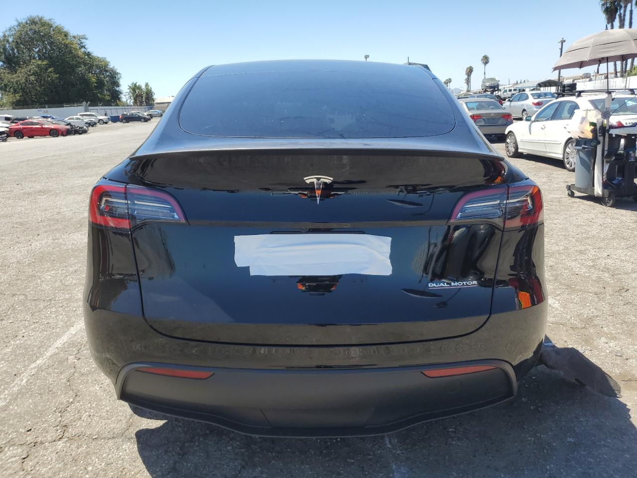 2024 TESLA MODEL Y  VIN:7SAYGDEFXRF128976