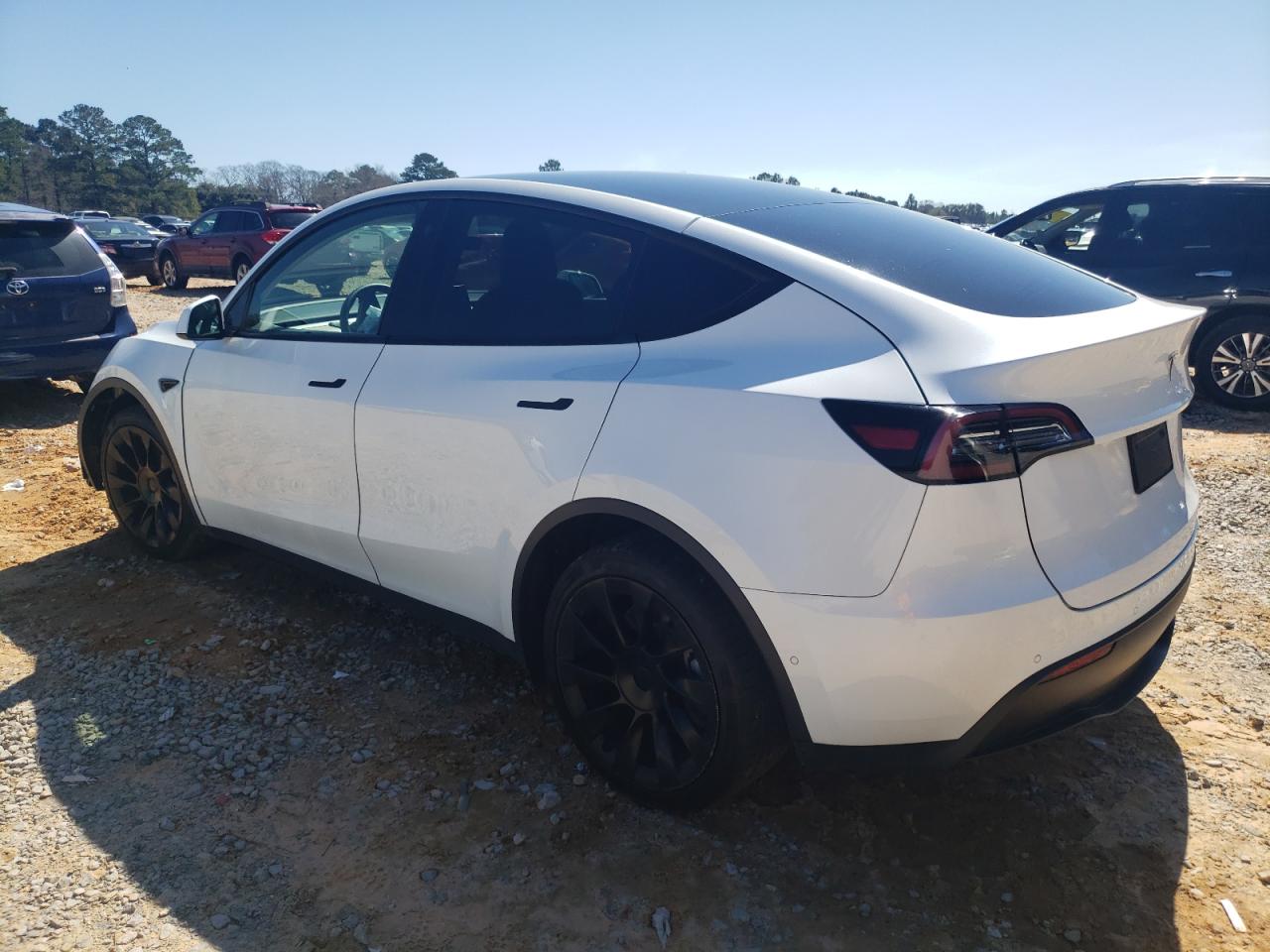 2022 TESLA MODEL Y  VIN:7SAYGDEE7NF385904