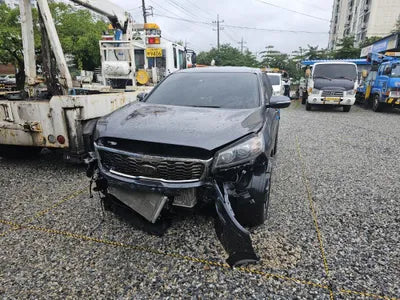 2019 Kia Sorento KNAPF81ABLA572561 VIN:KNAPF81ABLA572561