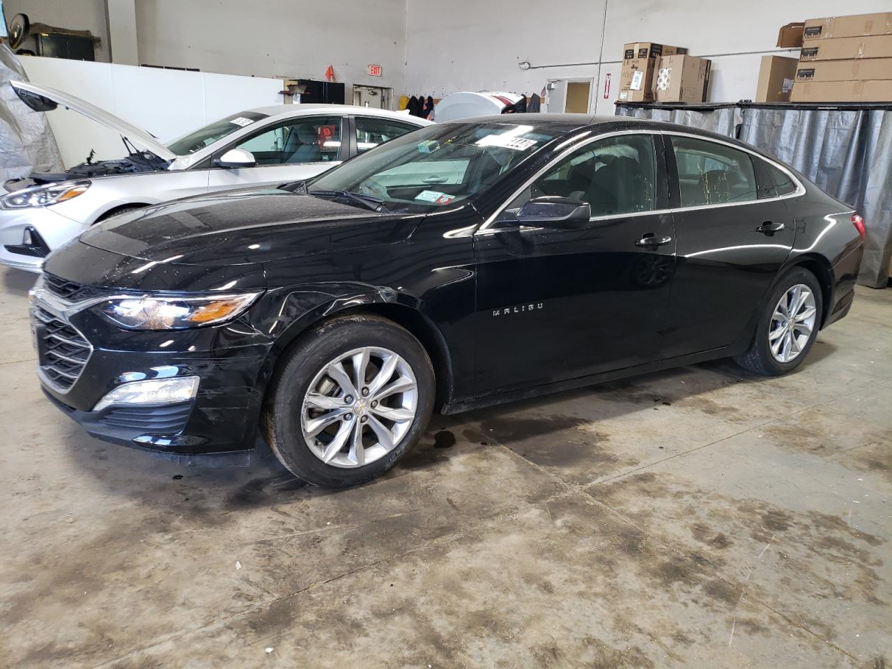 2023 CHEVROLET MALIBU LT VIN:1G1ZD5ST7PF212362