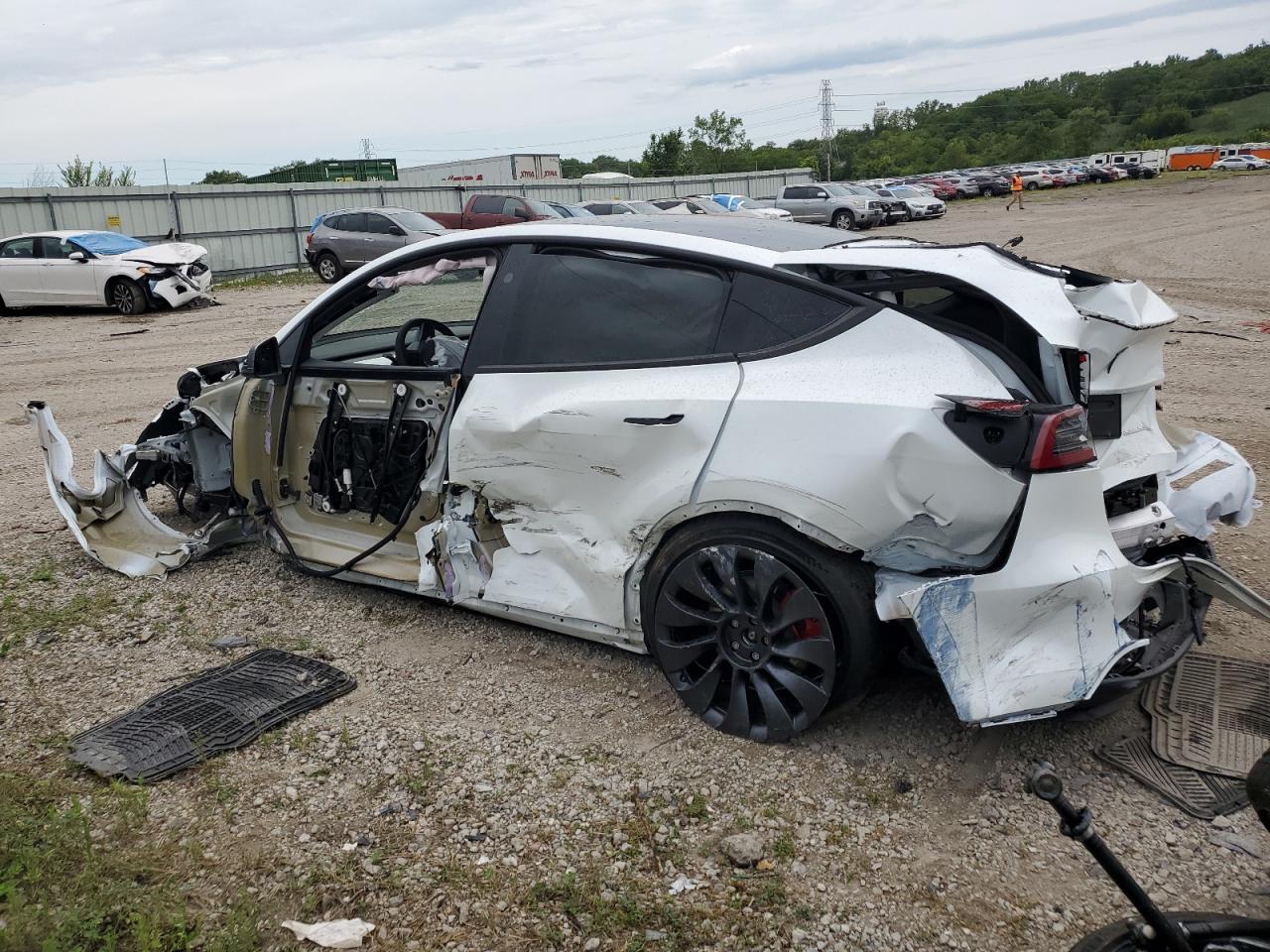 2024 TESLA MODEL Y  VIN:7SAYGDEF1RF048465