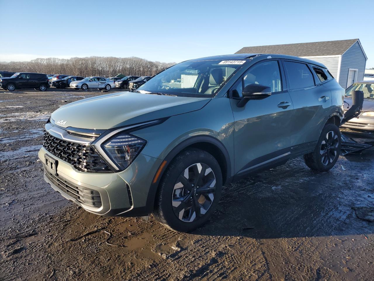 2024 KIA SPORTAGE X LINE VIN:5XYK6CDFXRG229302