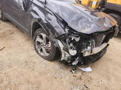 2020 Hyundai Santa FE KMHS281BBLU199802 VIN:KMHS281BBLU199802