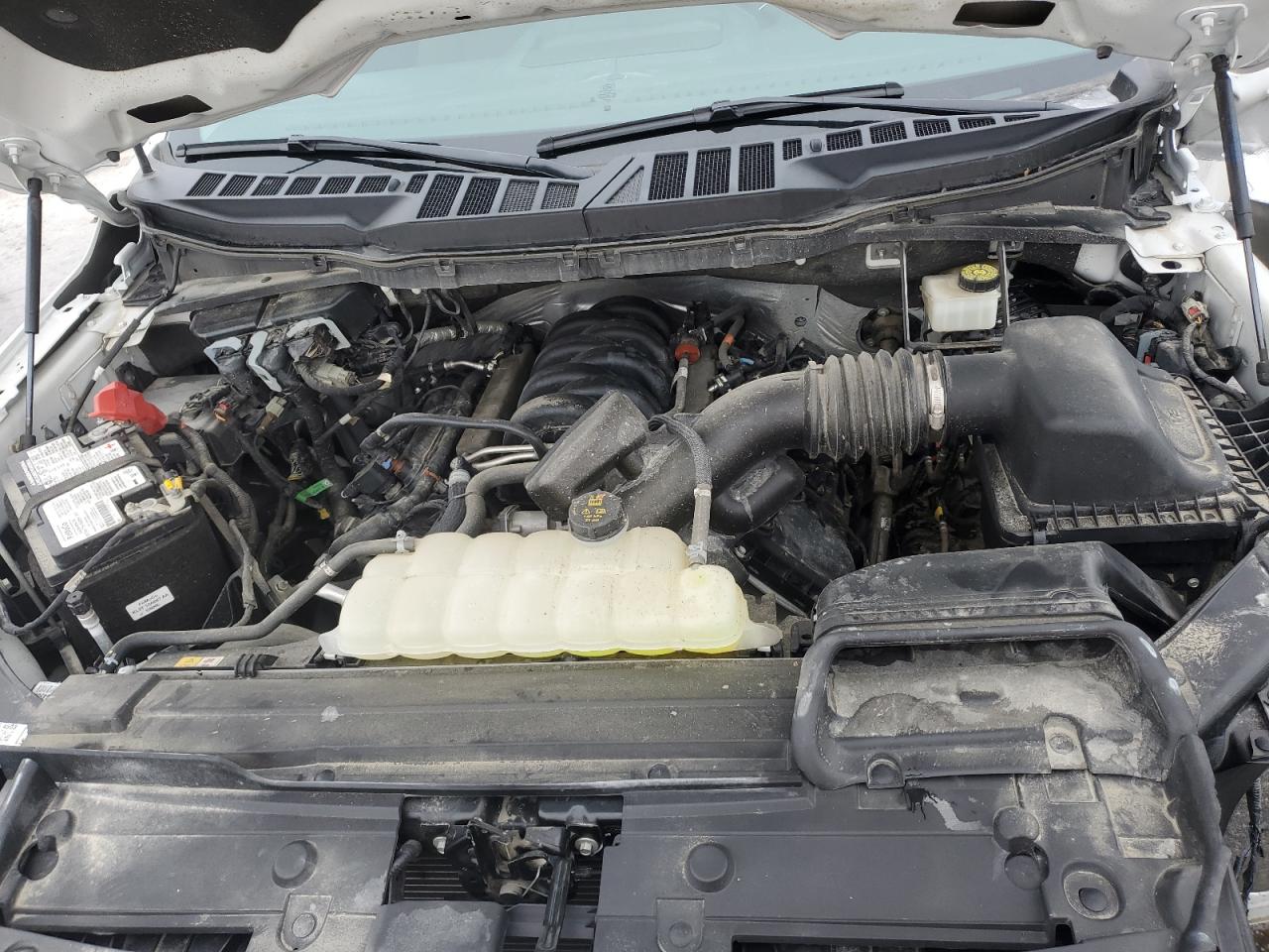 2023 FORD F150  VIN:1FTMF1E54PKF12496