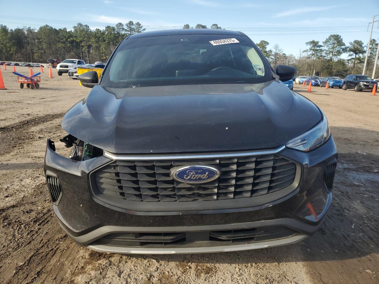 2024 FORD ESCAPE ACTIVE VIN:1FMCU0GN9RUB14096