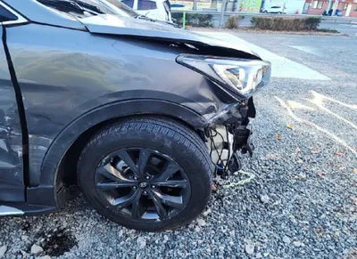 2017 Hyundai Santa FE KMHSW81UBHU720862 VIN:KMHSW81UBHU720862