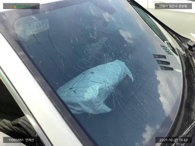 2021 Mercedes-Benz A 220 W1K3G4EB1MJ317334 VIN:W1K3G4EB1MJ317334