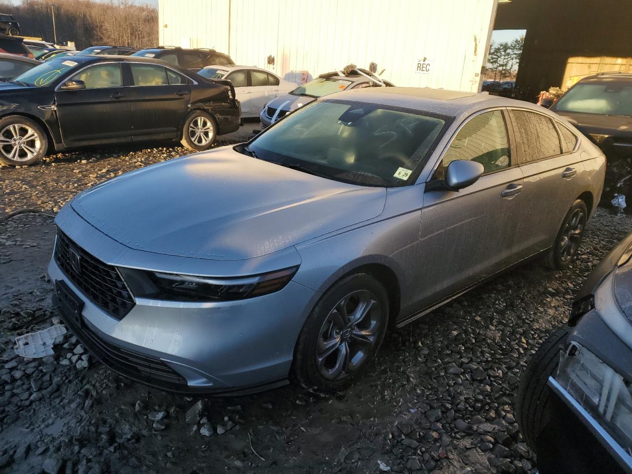 2024 HONDA ACCORD EX VIN:1HGCY1F31RA069494