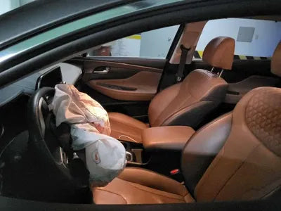 2019 Hyundai Santa FE KMHS381BBLU201216 VIN:KMHS381BBLU201216