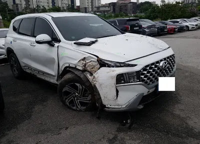 2021 Hyundai Santa FE KMHS281LGMU385620 VIN:KMHS281LGMU385620