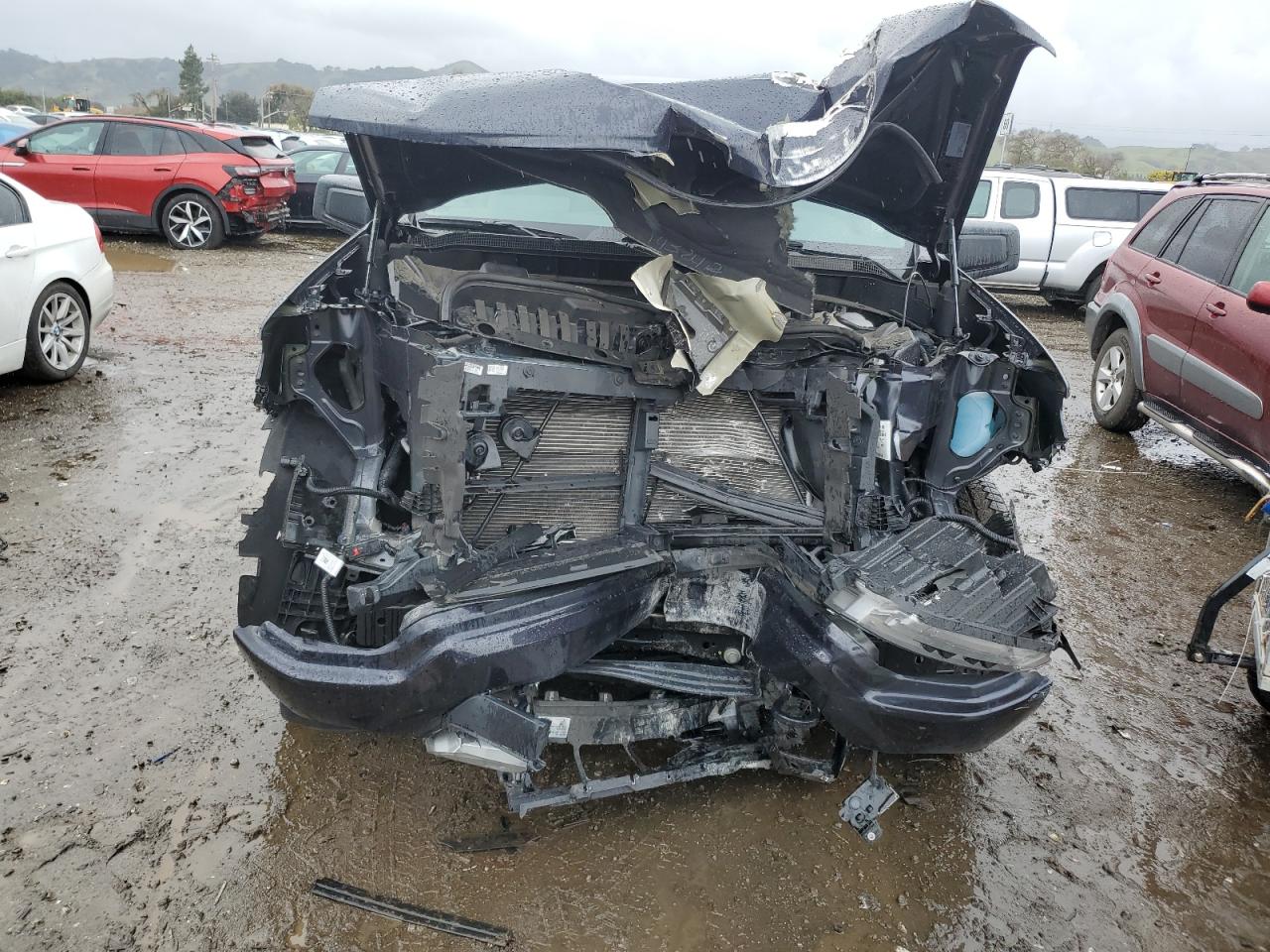 2024 CHEVROLET SILVERADO K1500 RST VIN:3GCUDEED1RG378013