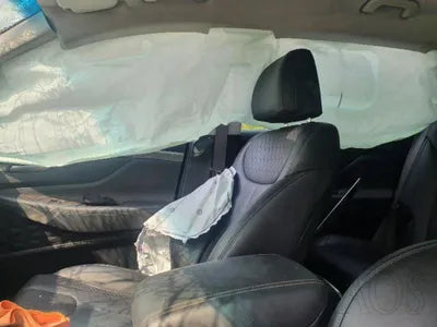 2020 Hyundai Santa FE KMHS281BDLU297854 VIN:KMHS281BDLU297854