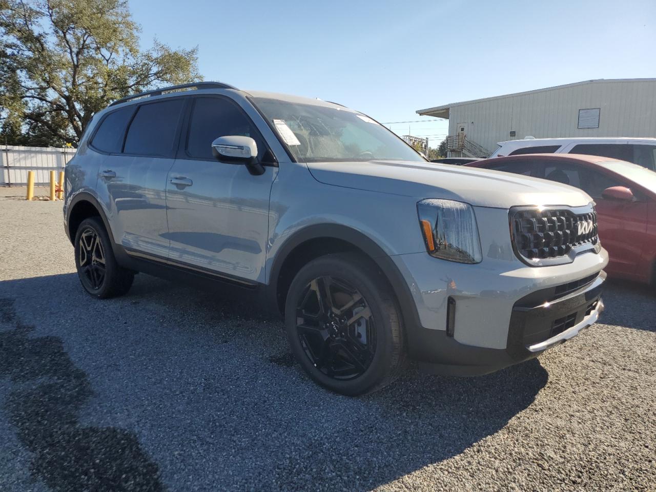 2024 KIA TELLURIDE EX VIN:5XYP3DGC8RG555833