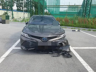 2019 Toyota Camry JTNB21HK6K3036528 VIN:JTNB21HK6K3036528