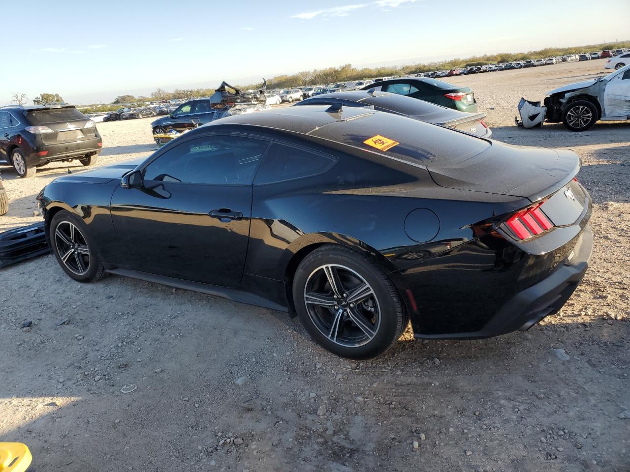 2024 FORD MUSTANG  VIN:1FA6P8TH6R5109896