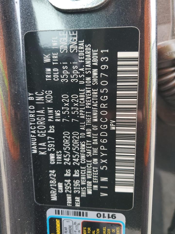2024 KIA TELLURIDE S VIN:5XYP6DGC0RG507931