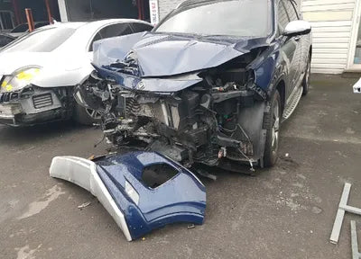 2019 Hyundai Santa FE KMHS581BBKU079646 VIN:KMHS581BBKU079646