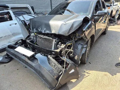 2019 Hyundai Kona KMHK4815GKU409949 VIN:KMHK4815GKU409949