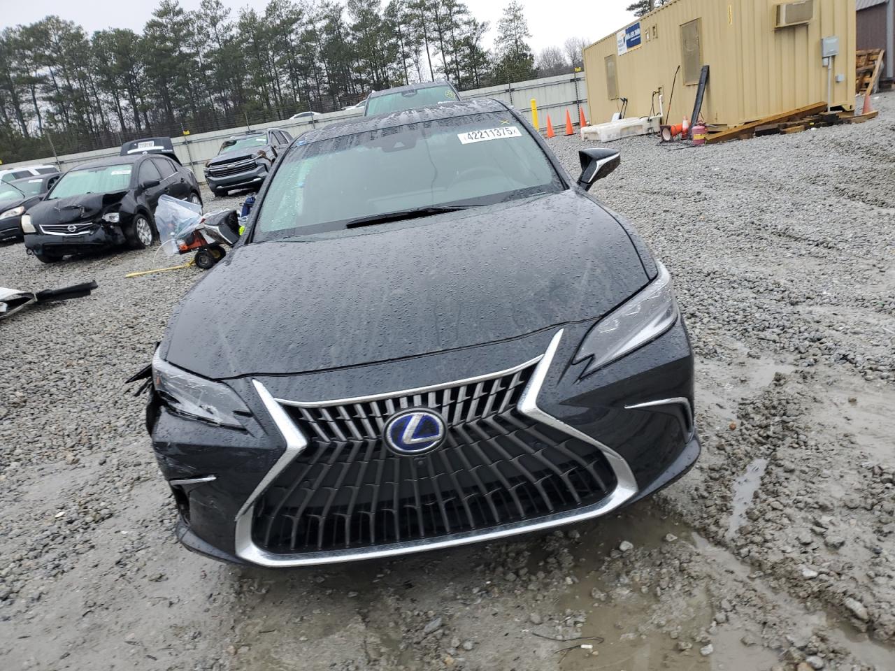 2022 LEXUS ES 300H BASE VIN:58AFA1C19NU023900